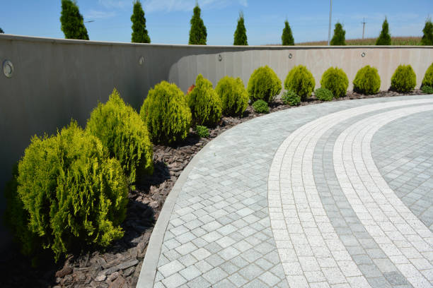 Best Professional Driveway Pavers  in Harrison, TN